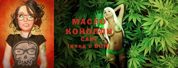 индика Протвино