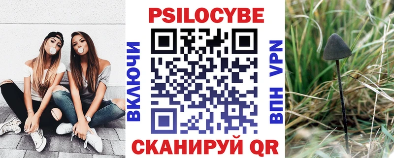Галлюциногенные грибы Cubensis дарк нет клад Карабаш