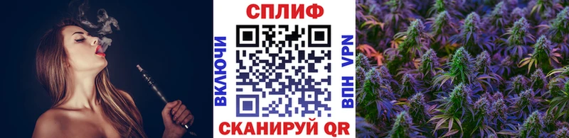 МАРИХУАНА гибрид  Карабаш 